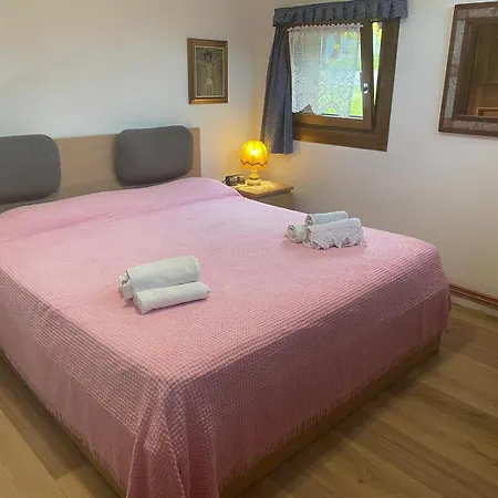 Сasa de vacaciones Mansarda Cadore